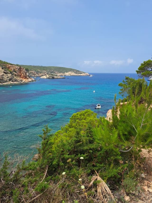  Ibiza-Airport-(IBZ)_2023-07-23_caa3