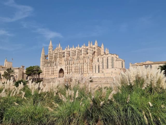  Palma-de-Mallorca-Airport-(PMI)_2022-10-01_17fb