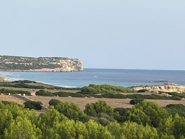  Menorca-Airport-(MAH)_2023-09-15_fd81