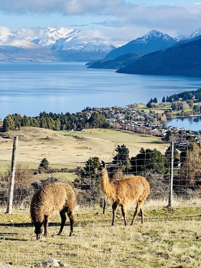  Queenstown-Airport-(ZQN)_2022-07-01_1d7b