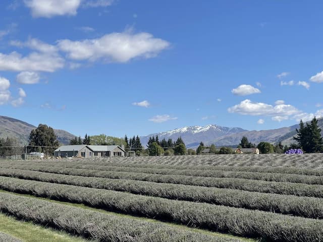  Queenstown-Airport-(ZQN)_2022-10-01_4ba3