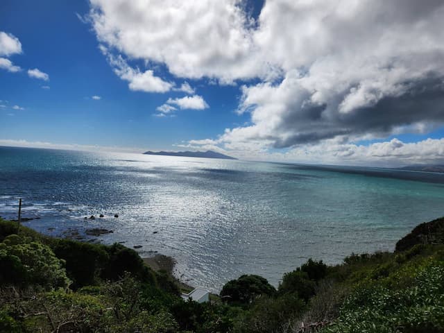  Wellington-Airport-(WLG)_2024-04-17_9a91