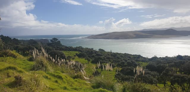  Auckland-Airport-(AKL)_2023-08-18_d674