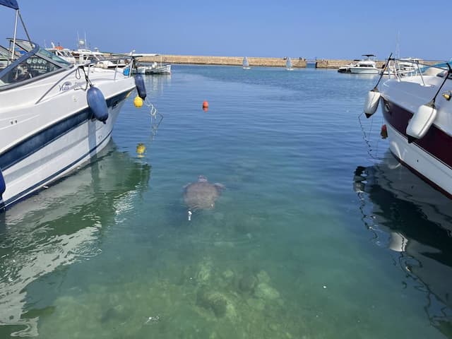  Crete-Airport-Chania-(CHQ)_2022-09-01_ef04