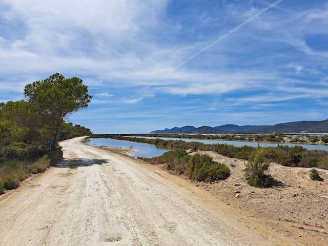  Ibiza-Airport-(IBZ)_2024-04-28_c833