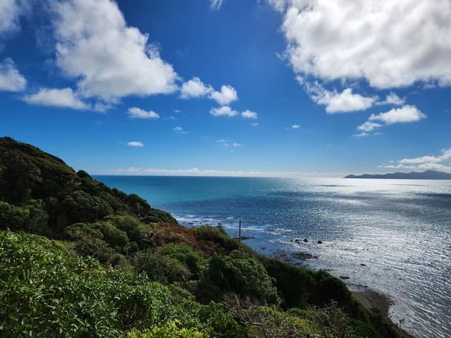  Wellington-Airport-(WLG)_2024-04-17_44dd