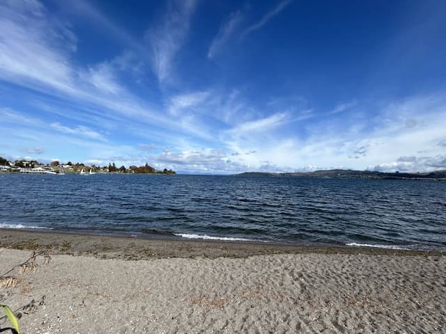  Wellington-Airport-(WLG)_2024-04-24_2d67