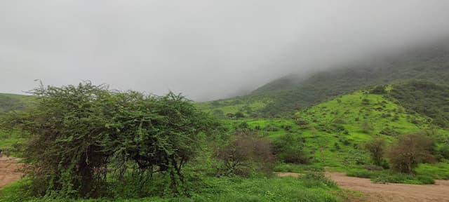  Salalah-Airport-(SLL)_2024-08-09_ce87