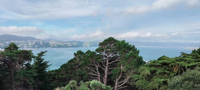  Wellington-Airport-(WLG)_2023-12-07_0946