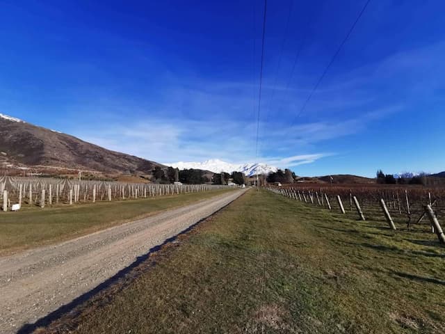  Queenstown-Airport-(ZQN)_2022-07-01_1342