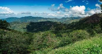  Kingston-Norman-Manley-Int.-Airport-(KIN)_2024-07-25_f6a5