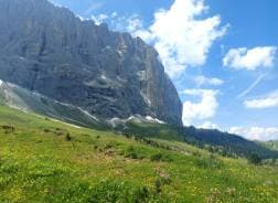  Bolzano-Railway-Station_2024-07-13_435a