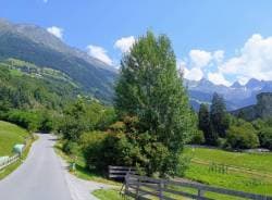  Bolzano-Airport-(BZO)_2024-07-25_4110